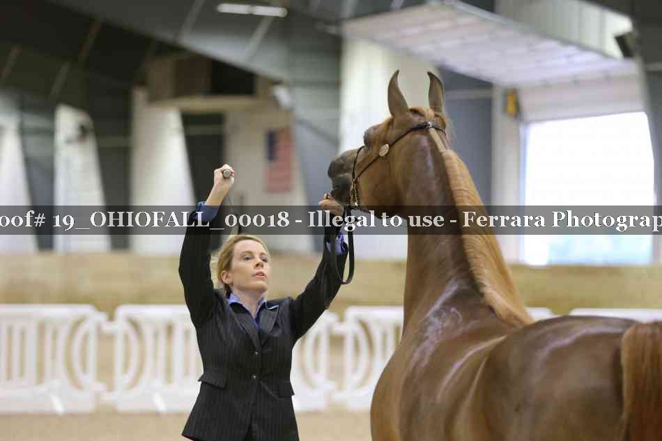 Proof 19_OHIOFALL_00018