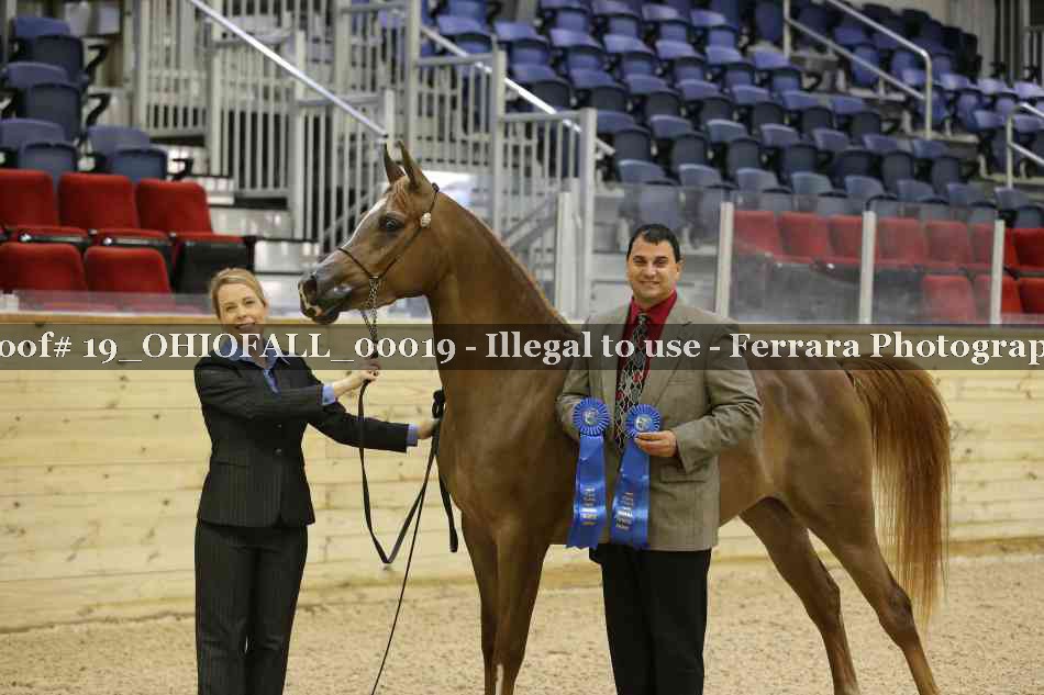 Proof 19_OHIOFALL_00019