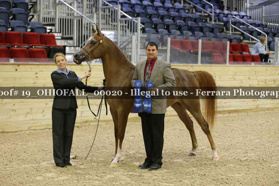 Proof 19_OHIOFALL_00020