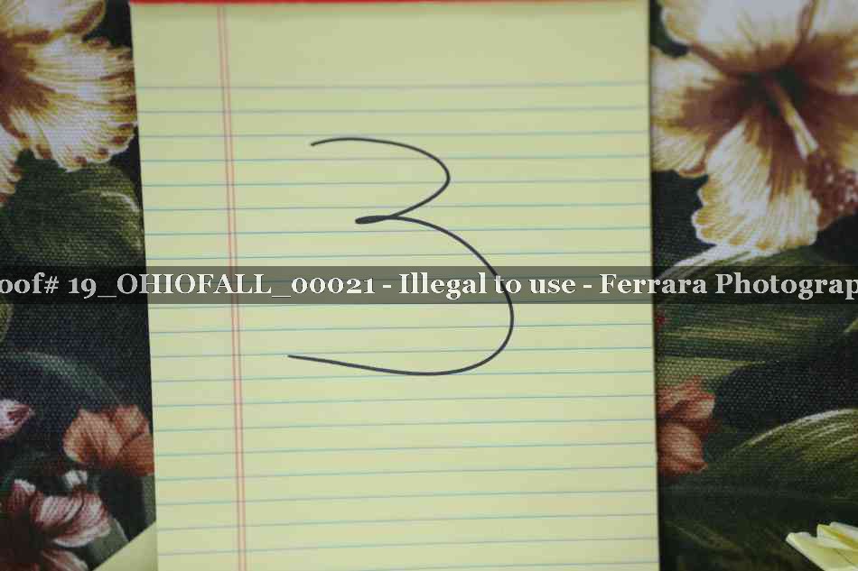Proof 19_OHIOFALL_00021