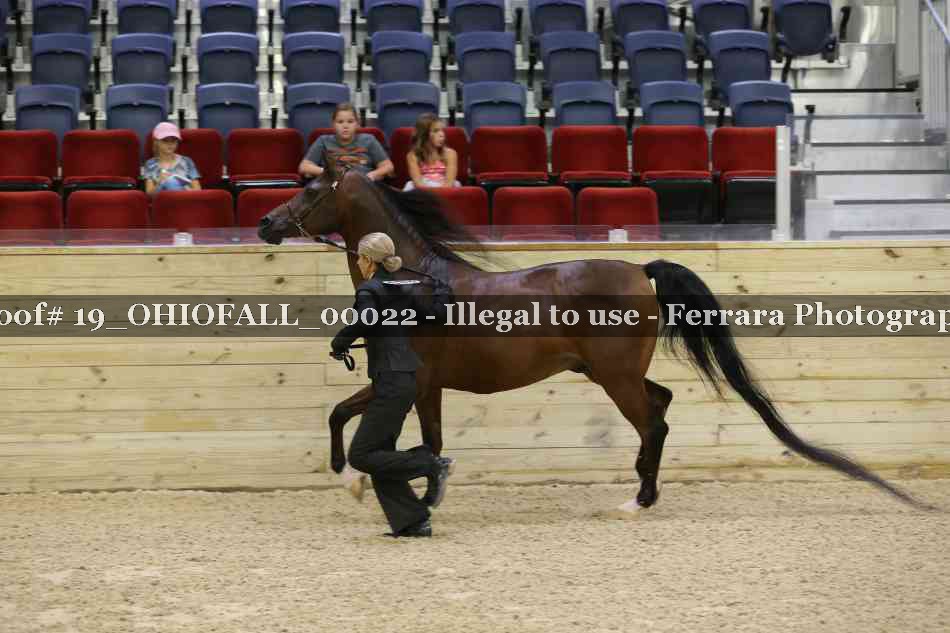 Proof 19_OHIOFALL_00022
