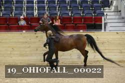 19_OHIOFALL_00022 proof