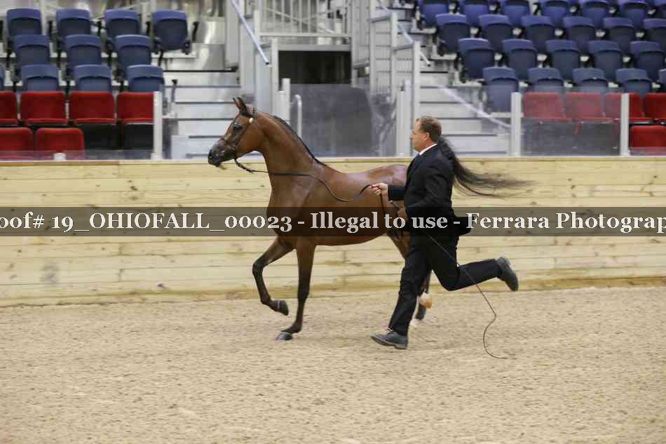 Proof 19_OHIOFALL_00023