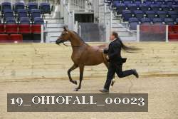 19_OHIOFALL_00023 proof