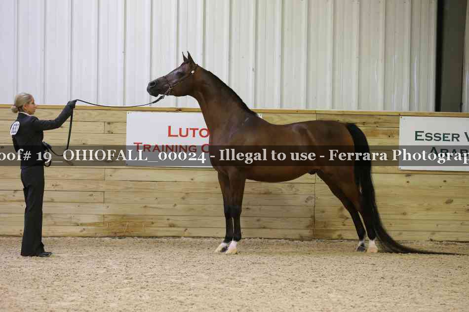 Proof 19_OHIOFALL_00024