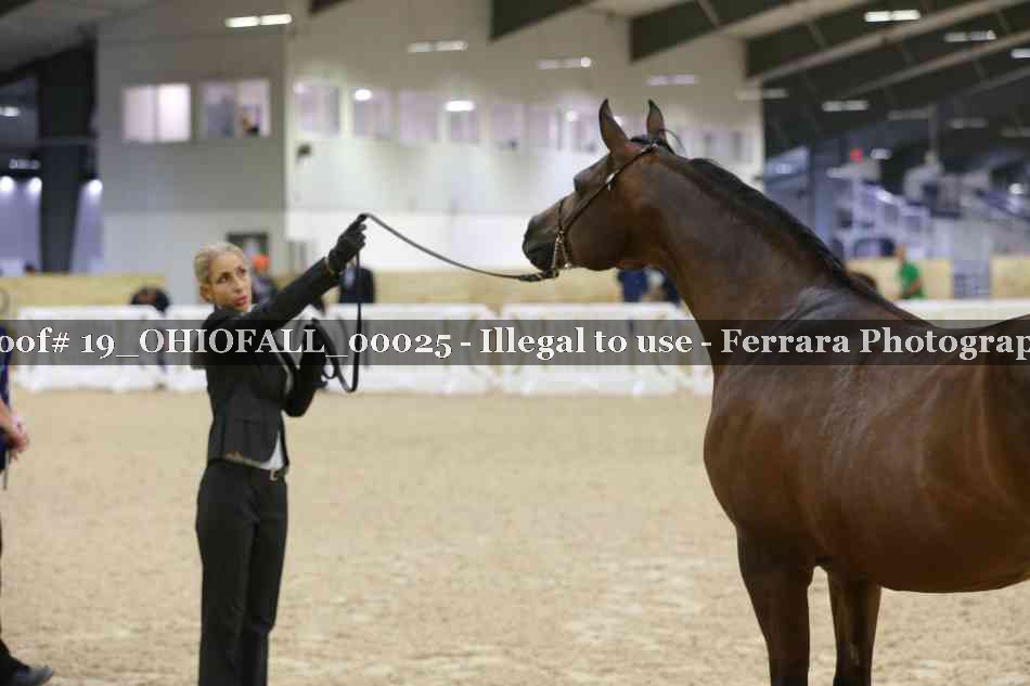 Proof 19_OHIOFALL_00025