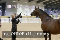 19_OHIOFALL_00025 proof