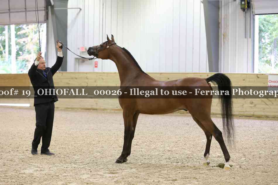 Proof 19_OHIOFALL_00026