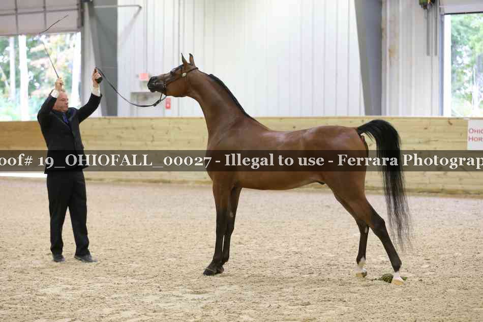 Proof 19_OHIOFALL_00027