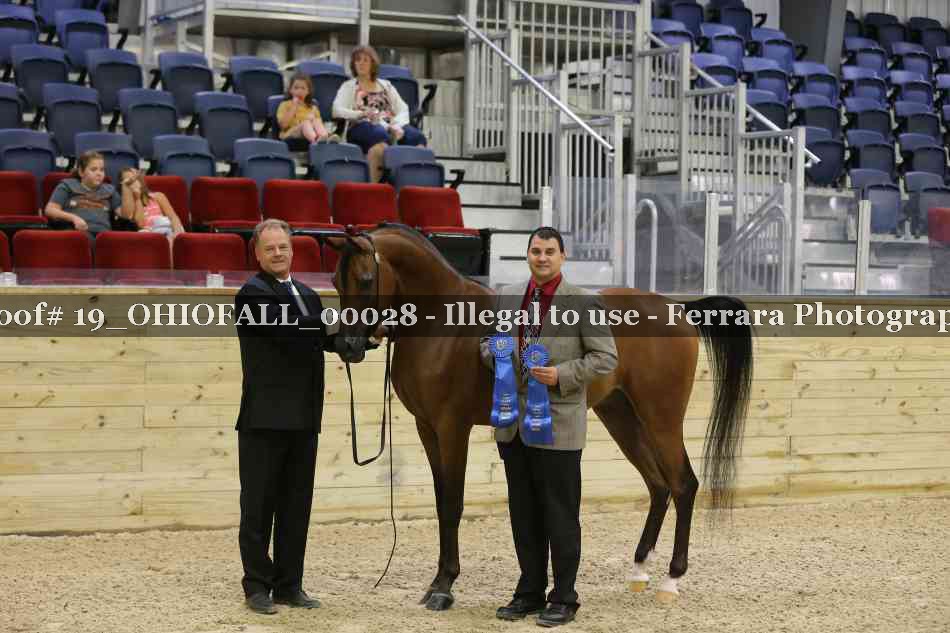 Proof 19_OHIOFALL_00028