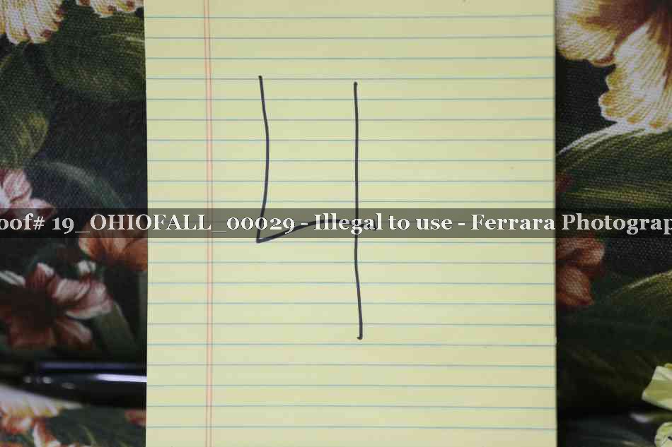 Proof 19_OHIOFALL_00029