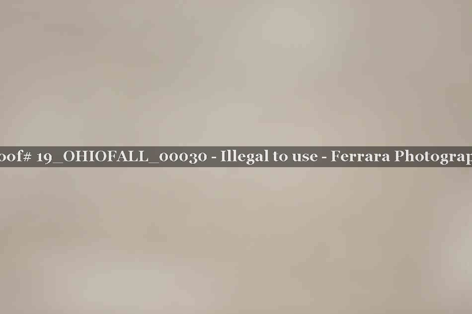 Proof 19_OHIOFALL_00030