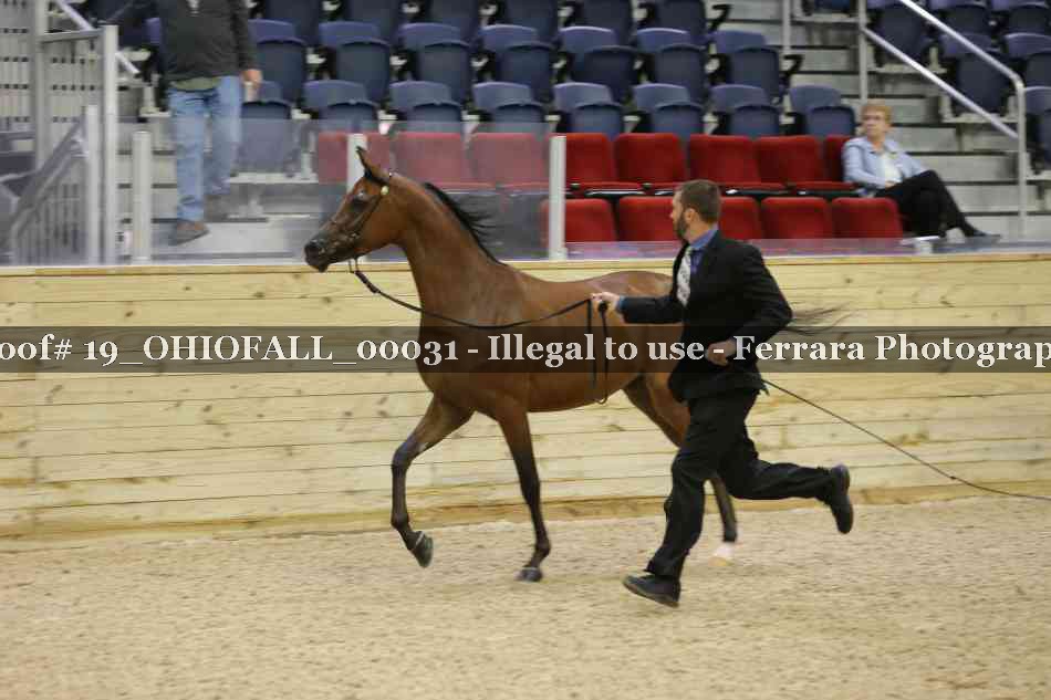 Proof 19_OHIOFALL_00031