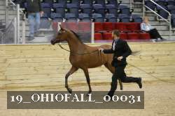 19_OHIOFALL_00031 proof