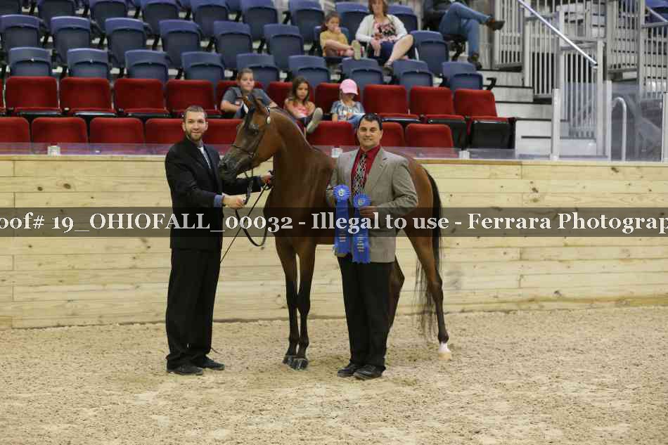 Proof 19_OHIOFALL_00032