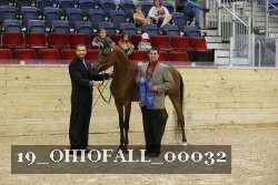 19_OHIOFALL_00032 proof