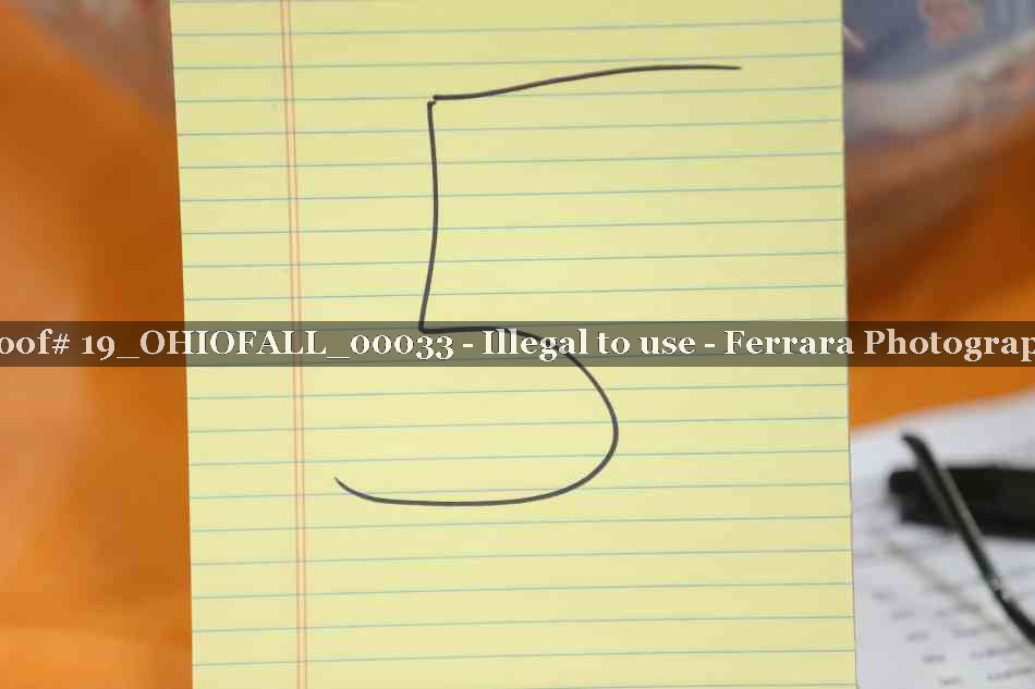 Proof 19_OHIOFALL_00033