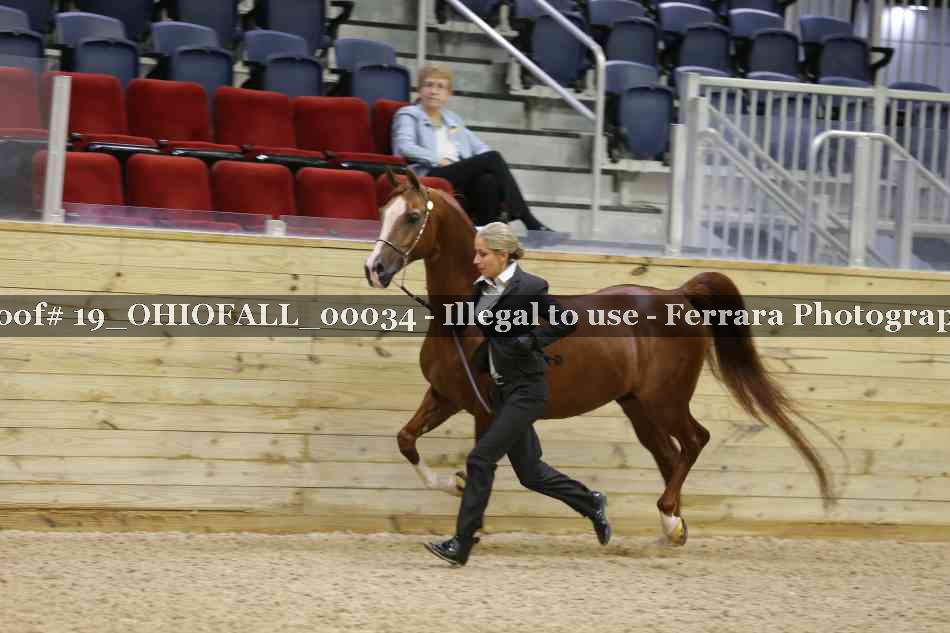 Proof 19_OHIOFALL_00034