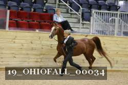19_OHIOFALL_00034 proof