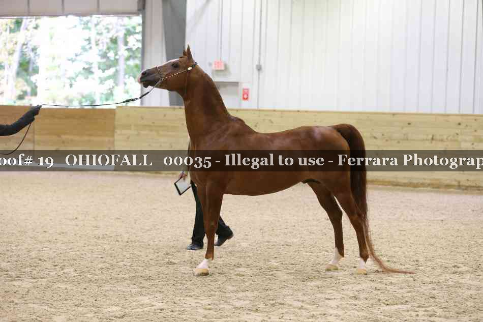 Proof 19_OHIOFALL_00035
