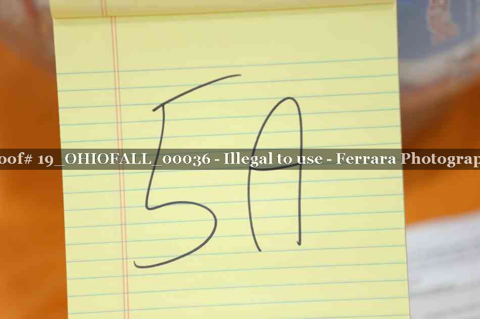 Proof 19_OHIOFALL_00036