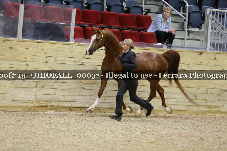 Proof 19_OHIOFALL_00037