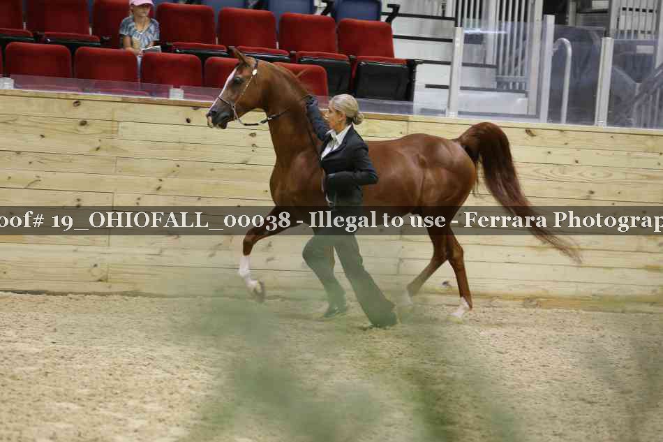 Proof 19_OHIOFALL_00038