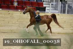 19_OHIOFALL_00038 proof