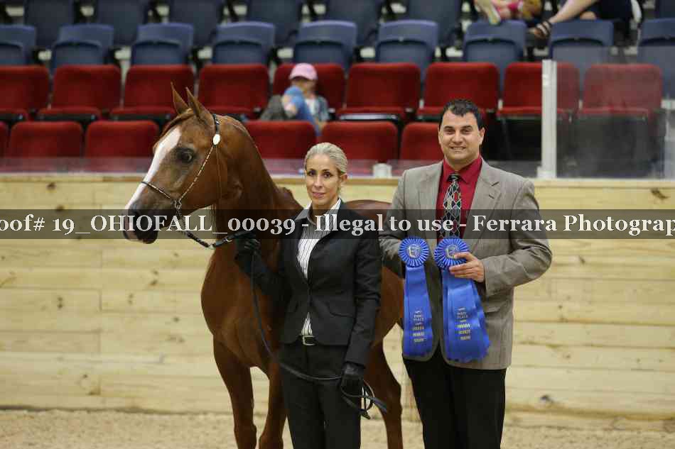 Proof 19_OHIOFALL_00039