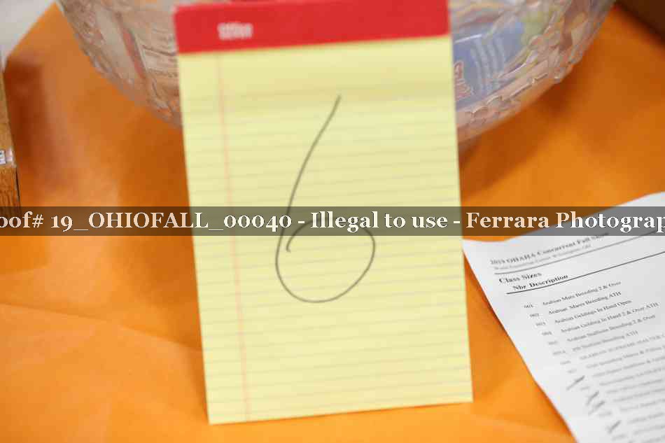 Proof 19_OHIOFALL_00040