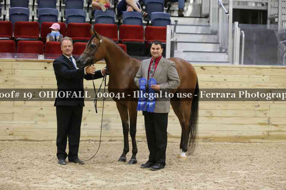 Proof 19_OHIOFALL_00041