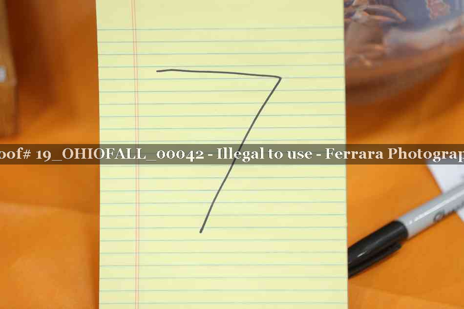 Proof 19_OHIOFALL_00042