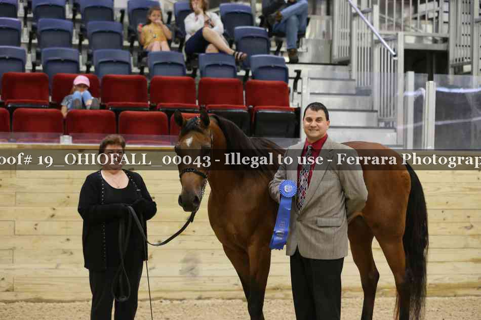 Proof 19_OHIOFALL_00043