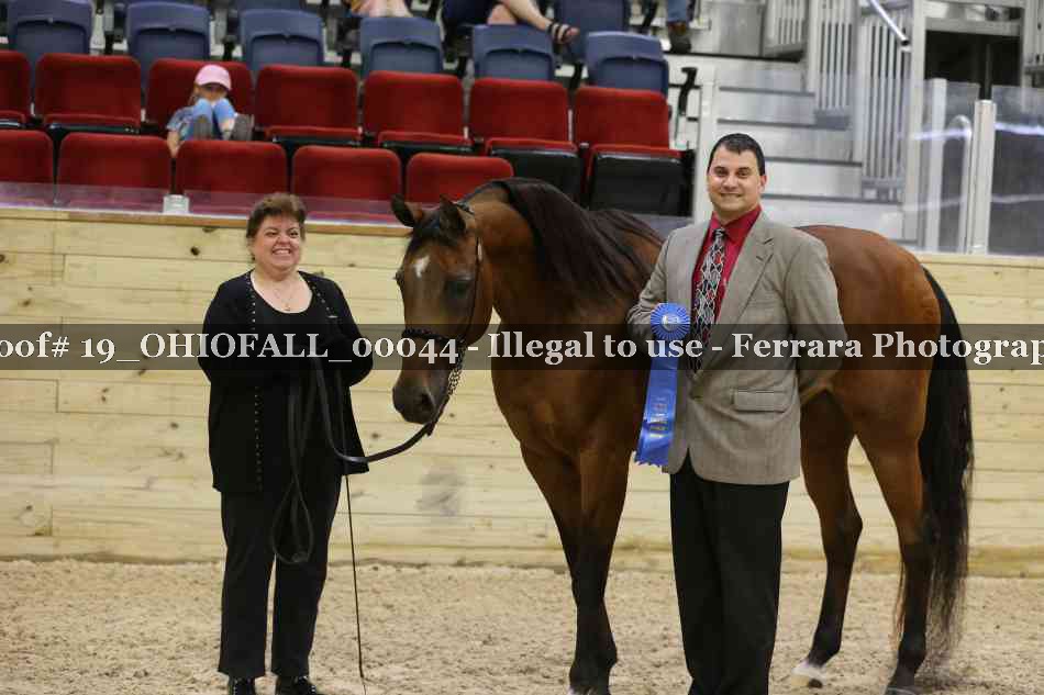 Proof 19_OHIOFALL_00044