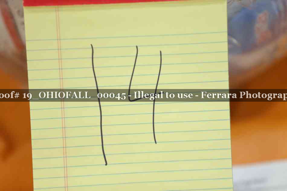 Proof 19_OHIOFALL_00045