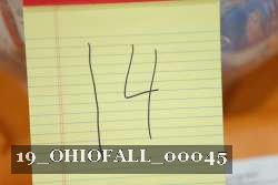 19_OHIOFALL_00045 proof