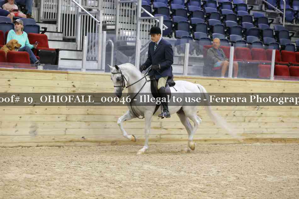 Proof 19_OHIOFALL_00046