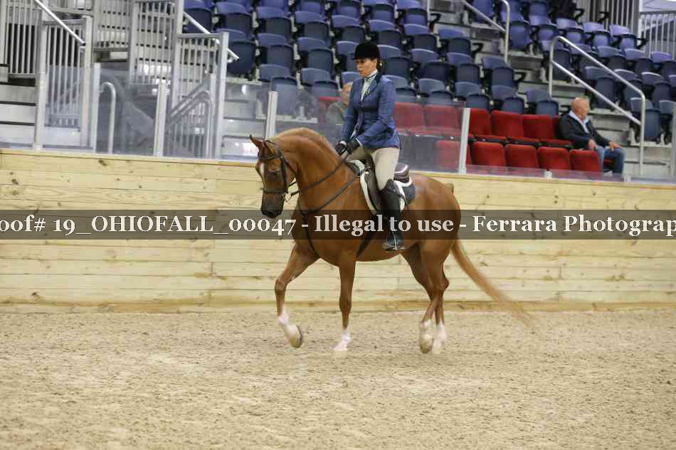 Proof 19_OHIOFALL_00047