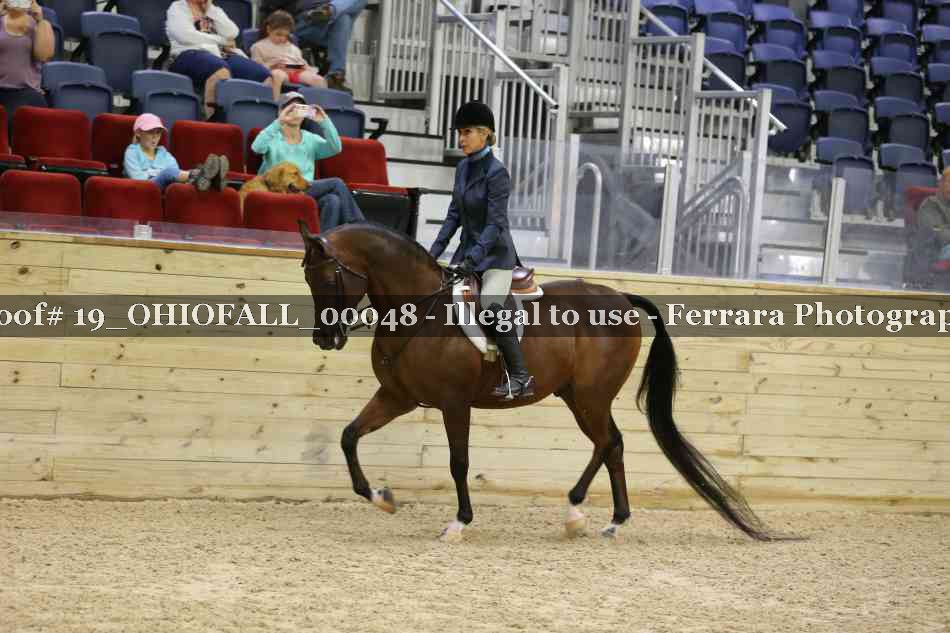 Proof 19_OHIOFALL_00048