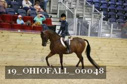 19_OHIOFALL_00048 proof