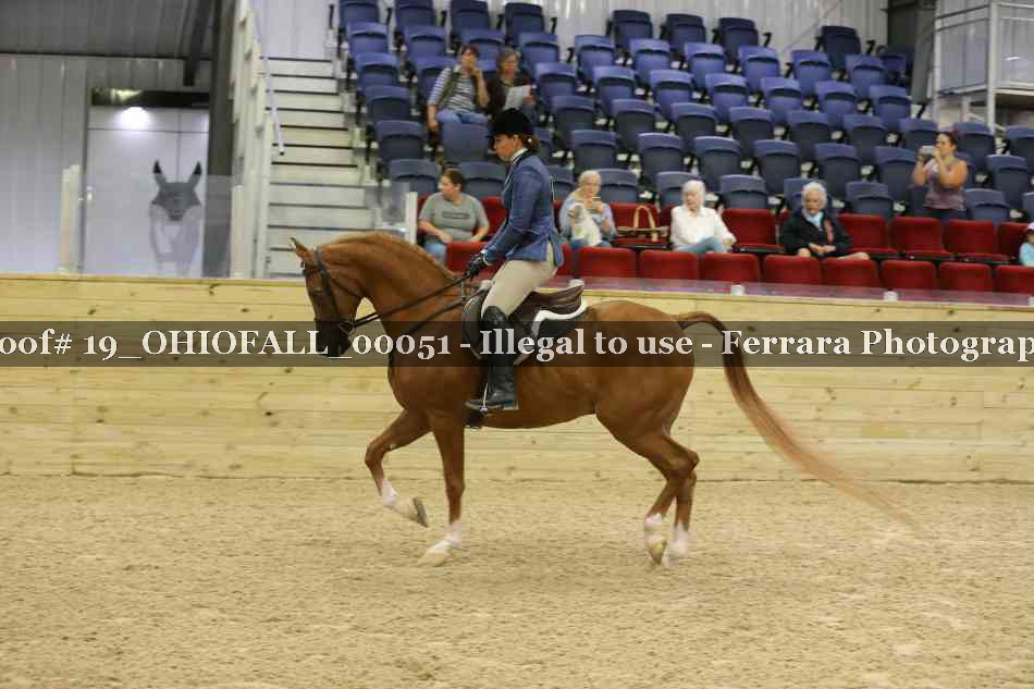 Proof 19_OHIOFALL_00051