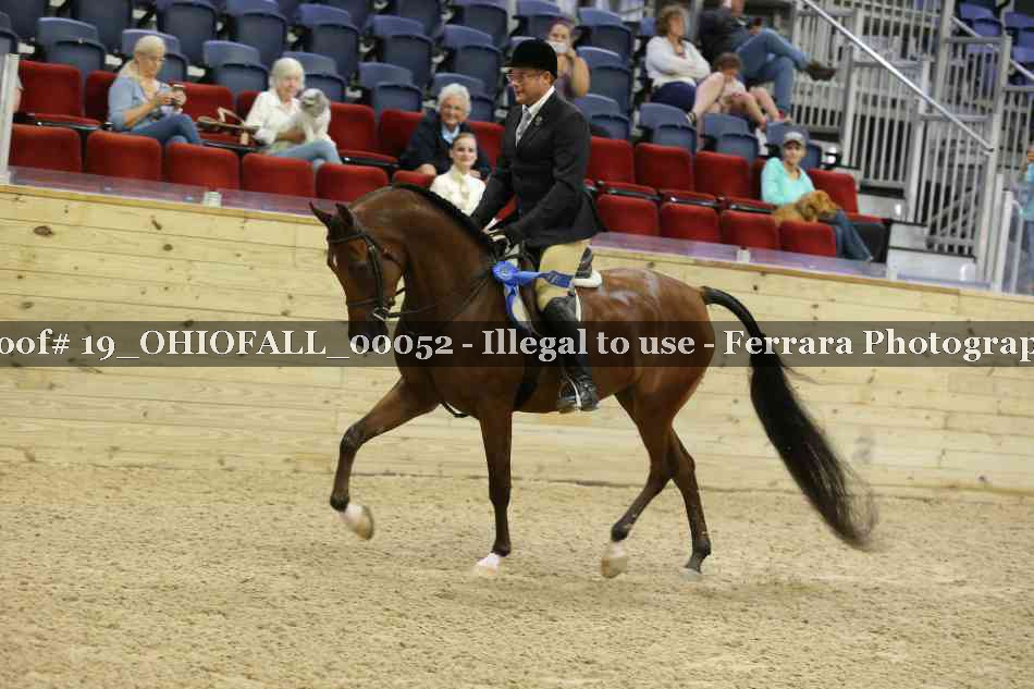 Proof 19_OHIOFALL_00052