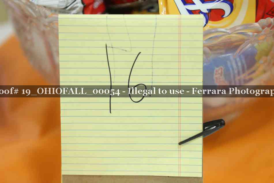 Proof 19_OHIOFALL_00054