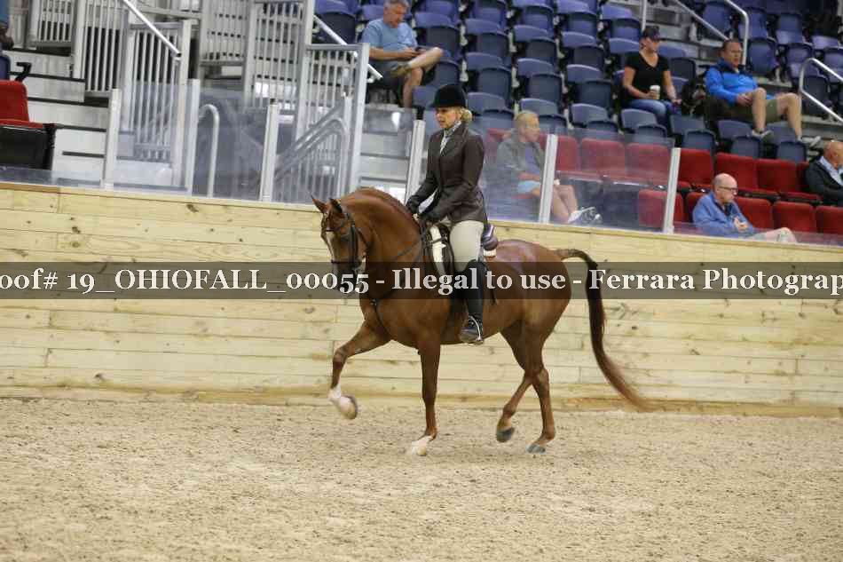 Proof 19_OHIOFALL_00055