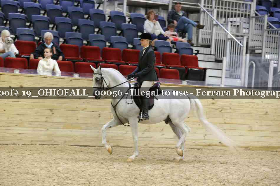 Proof 19_OHIOFALL_00056