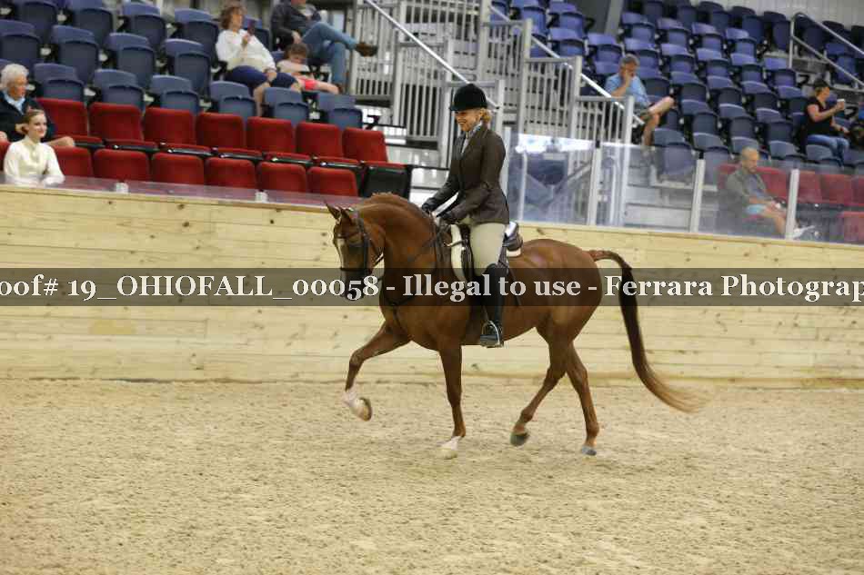 Proof 19_OHIOFALL_00058