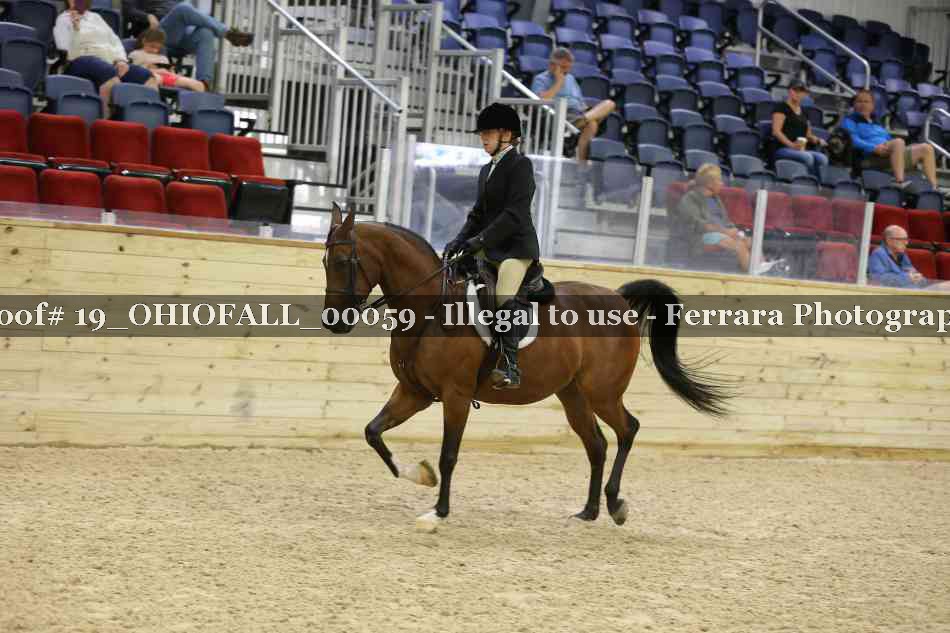 Proof 19_OHIOFALL_00059