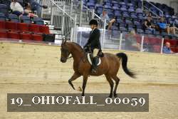 19_OHIOFALL_00059 proof