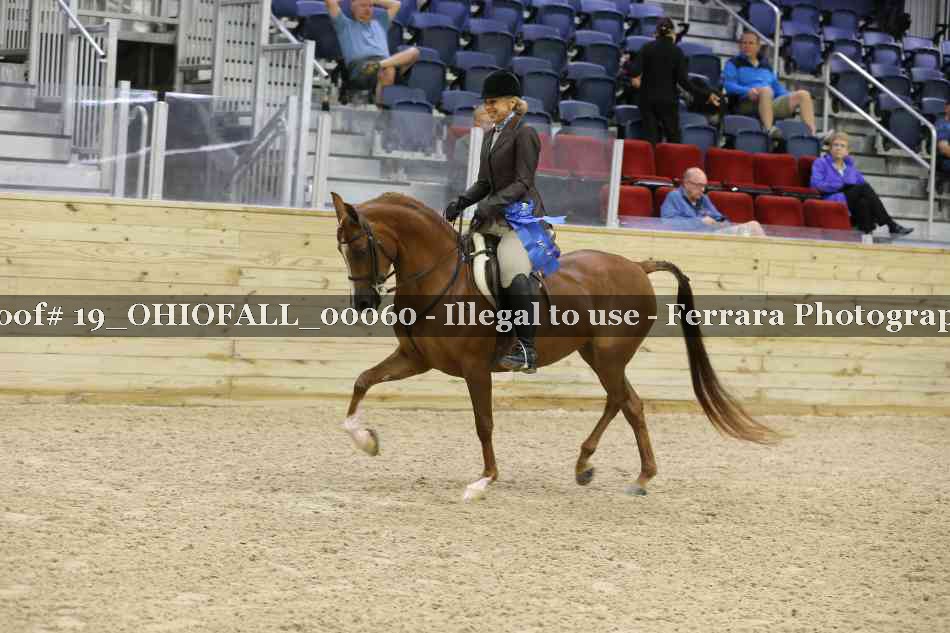 Proof 19_OHIOFALL_00060