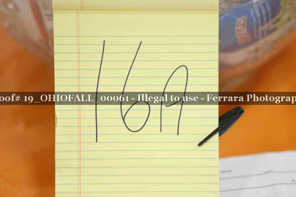 Proof 19_OHIOFALL_00061